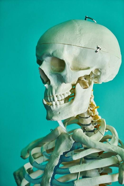 chiropractor bloomingdale il spine pain back pain posture