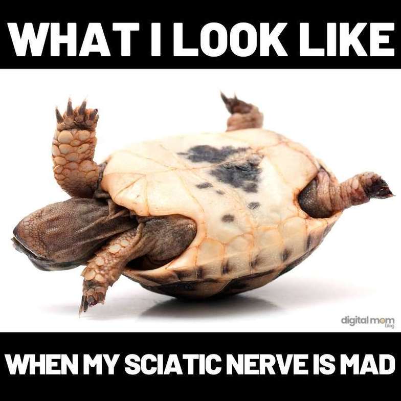 leg pain sciatica bloomingdale il chiropractor