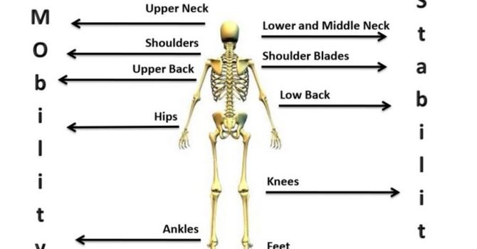 Are you stretching the right areas? image